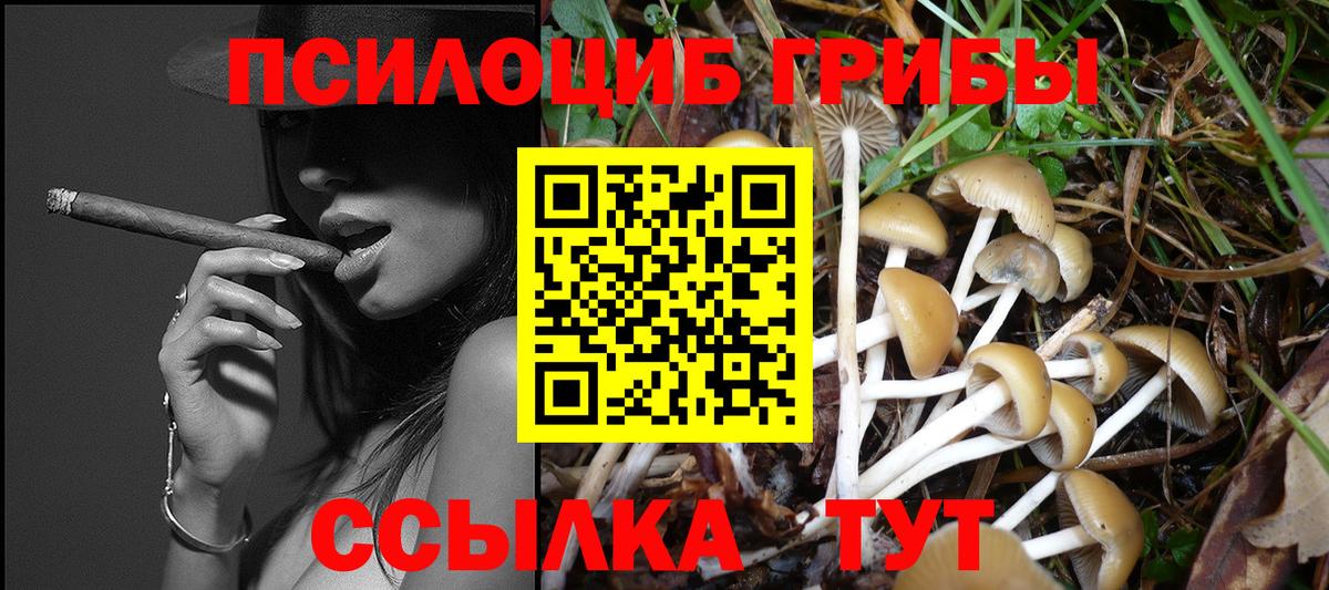 Малоярославец  Псилоцибиновые грибы мухоморы  Вход с VPN 