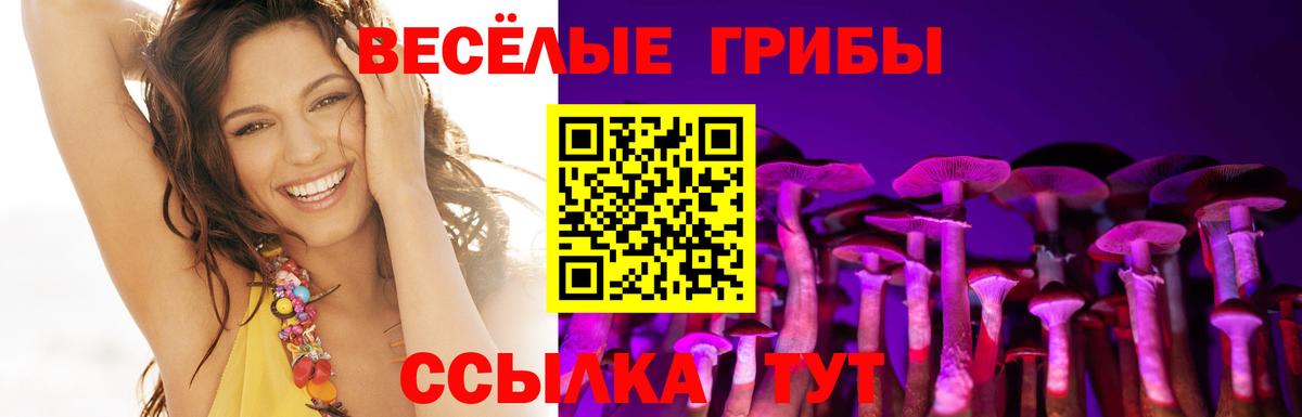 Псилоцибиновые грибы мицелий Малоярославец